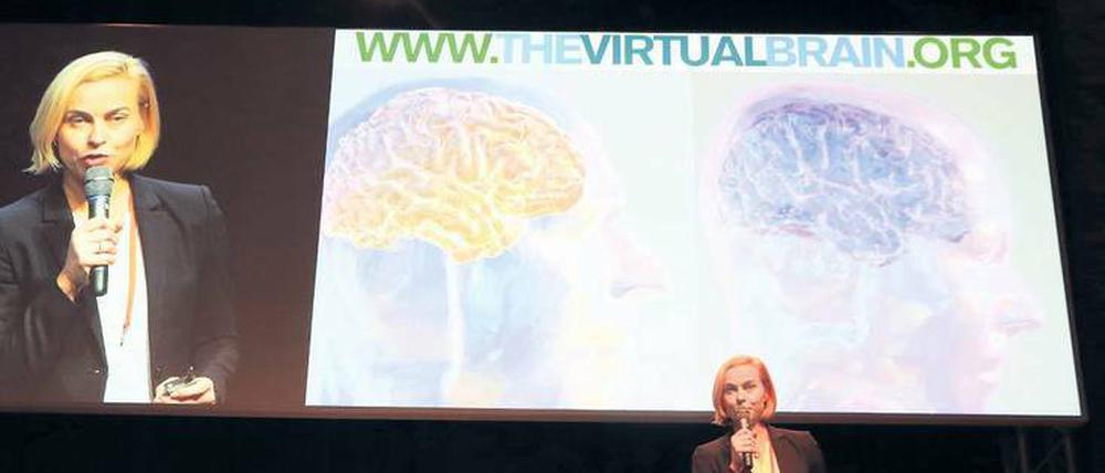 Vernetzt. Weltweit wird am virtuellen Gehirn geforscht, sagt Petra Ritter.