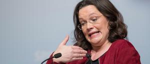 Die Bundesarbeits- und -sozialministerin Andrea Nahles (SPD).