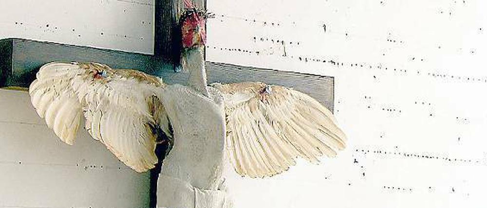 Ist das blasphemische Kunst? Die Arte-Doku beschäftigt sich auch mit Deborah Sengls „Via Dolorosa“.