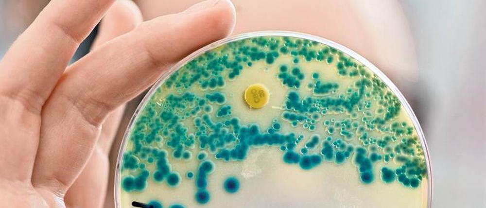Tückisch. Über die Folgen von Antibiotika-Resistenzen gibt es keine seriösen Hochrechnungen. 