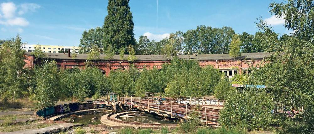 Ehemaliges Bahngelände des Güterbahnhofs Pankow, das von Investor Kurt Krieger in einen neuen Stadtteil verwandelt werden soll.