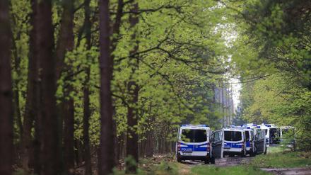 Das fünfjährige Mädchen verschwand in einem Wald bei Stendal.