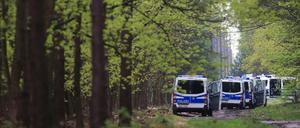 Das fünfjährige Mädchen verschwand in einem Wald bei Stendal.