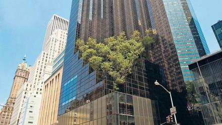 Selbstbespiegelung. Der Trump Tower an der Fifth Avenue wurde 1983 eingeweiht. Die unteren Etagen sind öffentlich, jetzt allerdings „Sicherheitsbereich“. 