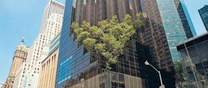 Selbstbespiegelung. Der Trump Tower an der Fifth Avenue wurde 1983 eingeweiht. Die unteren Etagen sind öffentlich, jetzt allerdings „Sicherheitsbereich“. 
