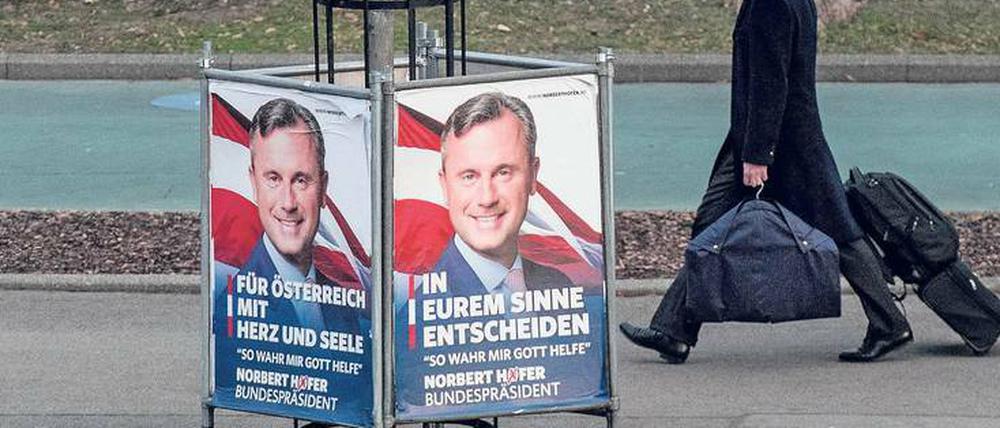 Um einen Baum herum stehen Wahlplakate, ein Mann, der einen Rollkoffer hinter sich herzieht, geht daran vorbei.