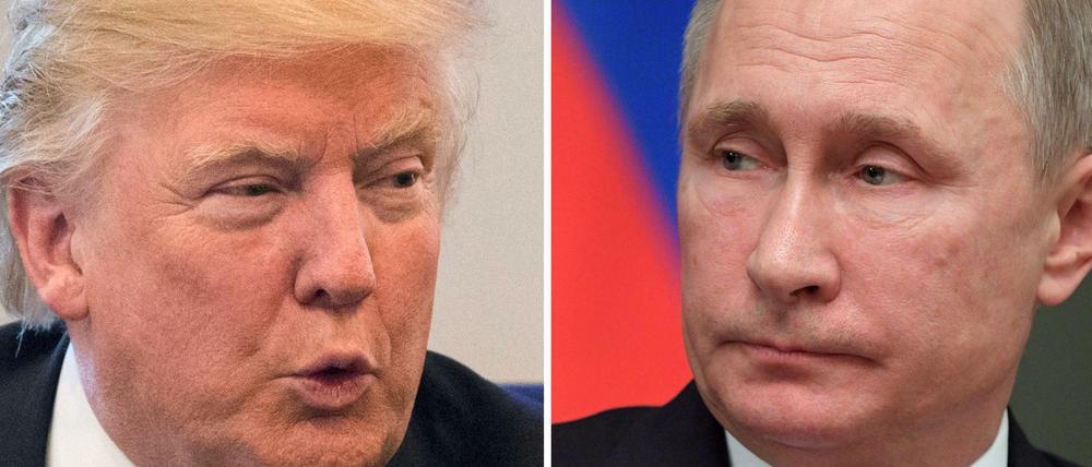 Die Bildkombo zeigt den künftigen US-Präsidenten Donald Trump und den russischen Präsidenten Wladimir Putin. 
