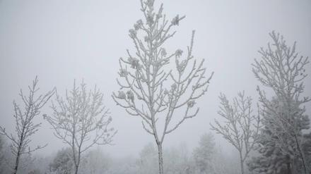 Winter - eine schwierige Jahreszeit.