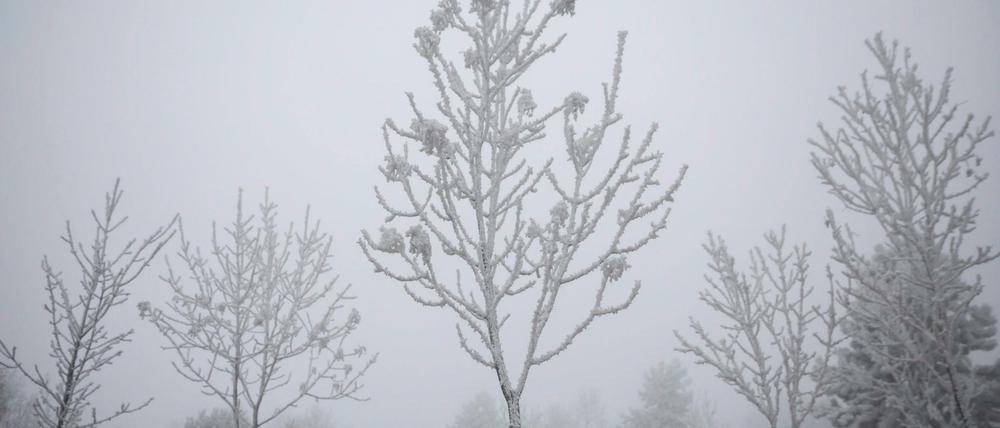 Winter - eine schwierige Jahreszeit.