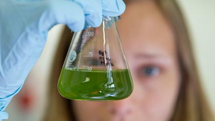 Wissenschaft als Zukunftsthema? So wird nur in Sonntagsreden gesprochen. Die Realität sieht anders aus.
