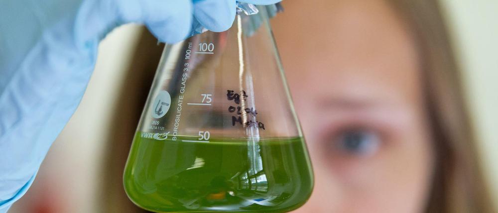 Wissenschaft als Zukunftsthema? So wird nur in Sonntagsreden gesprochen. Die Realität sieht anders aus.