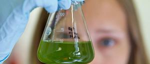 Wissenschaft als Zukunftsthema? So wird nur in Sonntagsreden gesprochen. Die Realität sieht anders aus.
