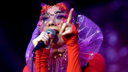 Die isländische Musikerin Björk.