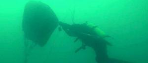 Ein Bergungstaucher bringt im Schwarzen Meer ein Wrackteil an die Oberfläche. 