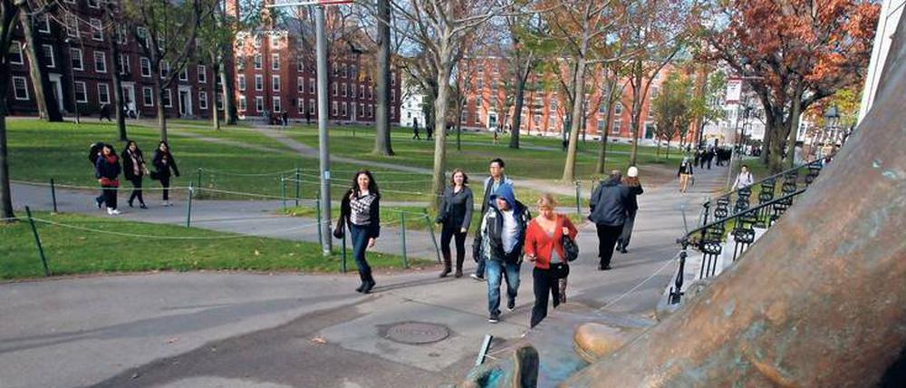 Harvard verfügt zwar über große Ressourcen, Studierende fühlen sich aber nicht richtig umsorgt.