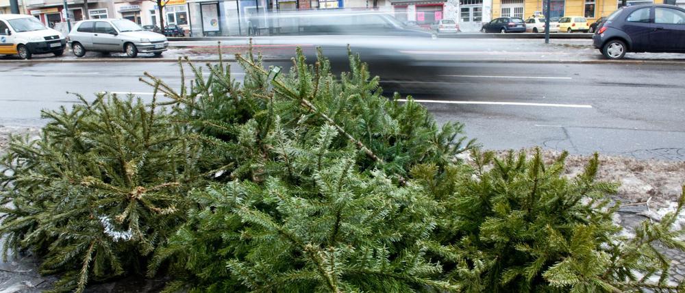 Erst Schmuck, dann Müll: Das Schicksal des Weihnachtsbaumes, wie es schon Hans Christian Andersen in seinem Märchen "Der Tannebaum" geschildert hat.
