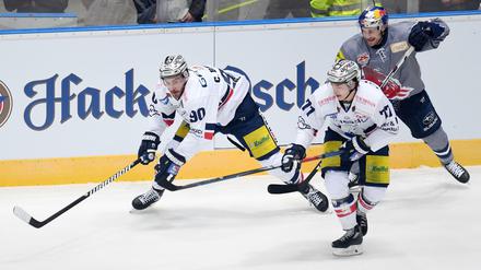 Die Eisbären mit Constantin Braun und Daniel Fischbuch wollen auch München ärgern.