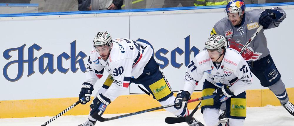 Die Eisbären mit Constantin Braun und Daniel Fischbuch wollen auch München ärgern.