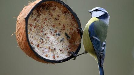 Mahlzeit.