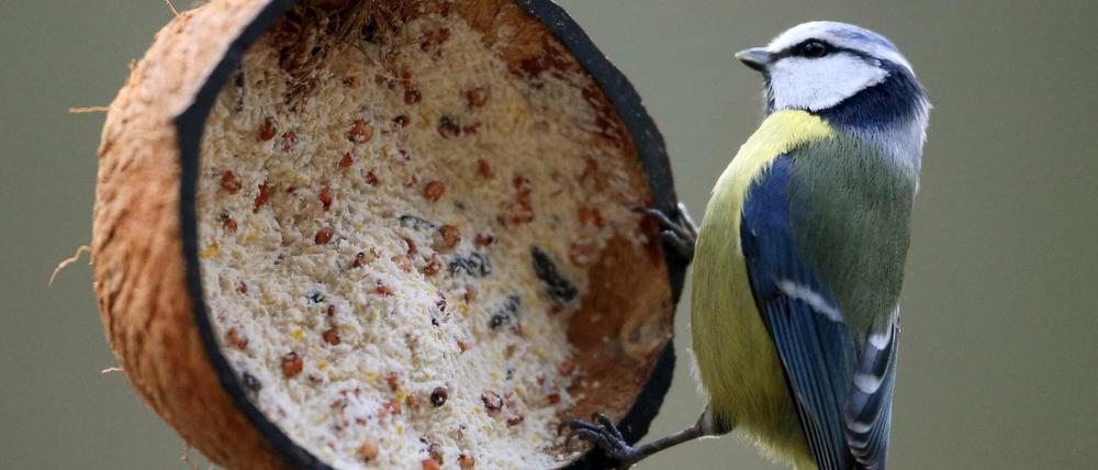 Mahlzeit.