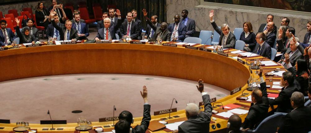 Einstimmig: Der UN-Sicherheitsrat nimmt die Syrien-Resolution an.