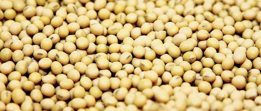 Umstritten. Monsanto handelt mit gentechnisch verändertem Saatgut. 