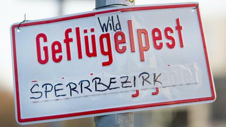 Sperrbezirke mit besonderen Auflagen zur Haltung von Haustieren bestünden zur Zeit in Friedrichhain-Kreuzberg, Neukölln, Reinickendorf, Tempelhof-Schöneberg und Treptow-Köpenick.