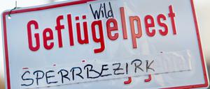 Sperrbezirke mit besonderen Auflagen zur Haltung von Haustieren bestünden zur Zeit in Friedrichhain-Kreuzberg, Neukölln, Reinickendorf, Tempelhof-Schöneberg und Treptow-Köpenick.