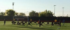 Viel los. Hertha am Sonntag auf der Trainigsanlage des RCD Mallorca.