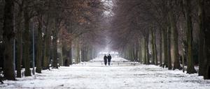 Eine Frau und ein Mann spazieren am 07.01.2017 durch den mit Neuschnee bedeckten Großen Tiergarten in Berlin.