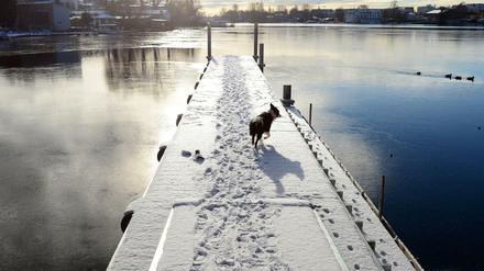 Hundekalt ist es in Berlin. Aber eine geschlossene Schneedecke gibt's nur im Südosten wie hier in Köpenick.