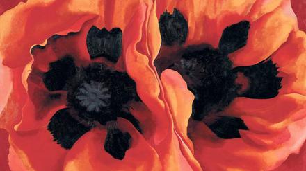 Lieblingsmotiv. Georgia O’Keeffes „Orientalische Mohnblumen“ aus dem Jahr 1927.