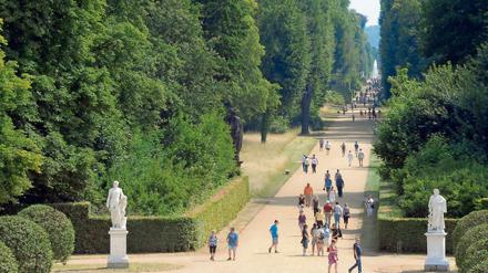 Der Park von Sanssouci, Schauplatz der Musikfestspiele Potsdam.