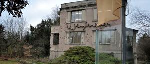 Glas und Wind und flüchtige Kunst. Das Vater-Sohn-Künstlergespann Wolf und Timo Kahlen betreiben seit 1985 in Berlin-Dahlem die "Ruine der Künste". 