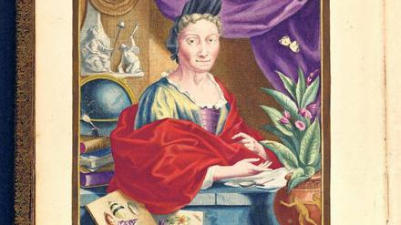Historische Darstellung einer Frau, die inmitten von Sammlungsgegenständen an einem Schreibtisch sitzt.