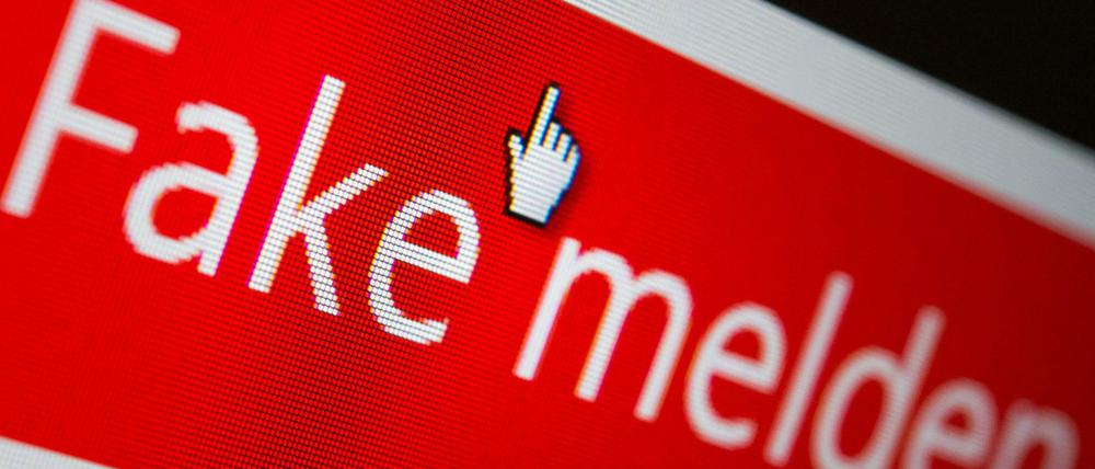 Was tun gegen Fake News?