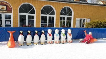 Kindervergnügen auf der Eisbahn in Friedrichshagen.