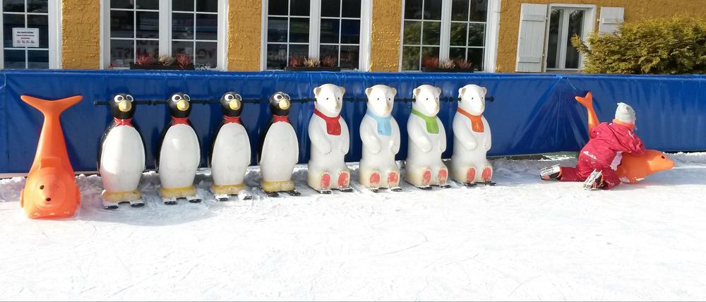 Kindervergnügen auf der Eisbahn in Friedrichshagen.