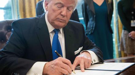 Donald Trump hat per Dekret zwei umstrittene Pipeline-Projekte genehmigt. 