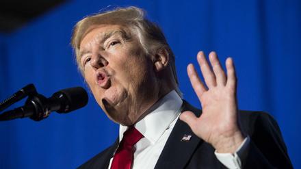 US-Präsident Donald Trump 