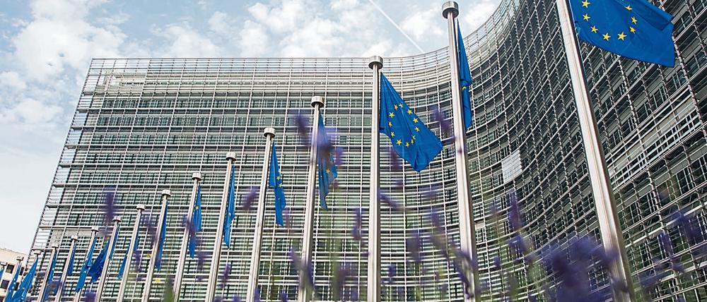 Die EU-Kommission wurde im November zum Ziel einer Hackerangriffs.