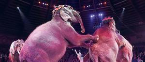 Umstritten. Aktivistengruppen wie „Peta“ fordern ein grundsätzliches Verbot von Tieren im Zirkus. Die Unternehmen wehren sich gegen die Vorwürfe der Tierrechtler.