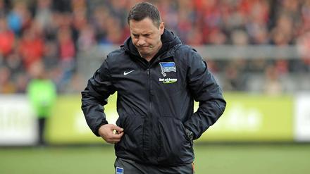 Pal Dardai weiß, dass im Fan-Anhang und in Teilen des Vereins selbst Diskussionen einsetzen.