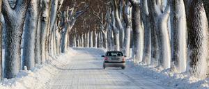 Auf Brandenburgs berüchtigten Landstraßen gibt es inzwischen weniger Unfälle. 