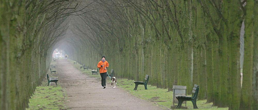 Laufen kann sich positiv auswirken – für Mensch und Hund.