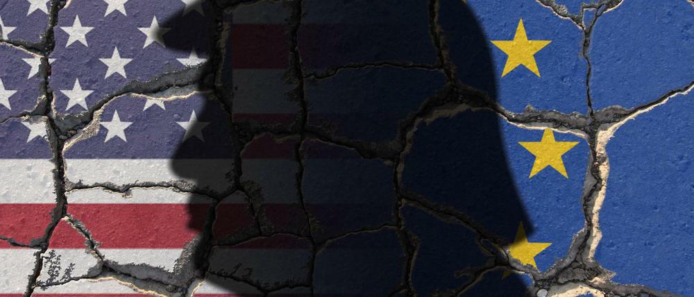 Risse im Bündnis: Mit der Wahl von Donald Trump hat sich ein Schatten über die transatlantischen Beziehungen gelegt.