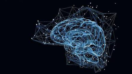 Neuronale Netzwerke kommunizieren über elektrische Impulse.
