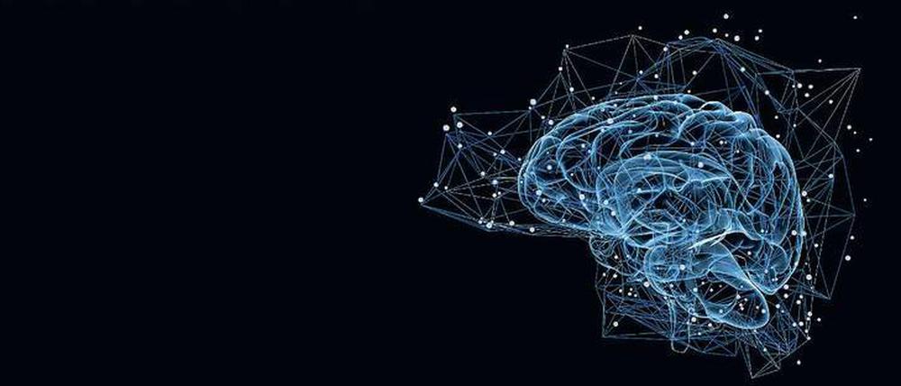 Neuronale Netzwerke kommunizieren über elektrische Impulse.