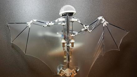 Der nur 93 Gramm schwere "Bat Bot" kann in den Sturzflug gehen und bekommt enge Wendungen hin.