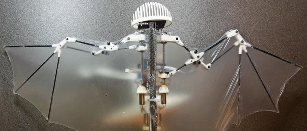 Der nur 93 Gramm schwere "Bat Bot" kann in den Sturzflug gehen und bekommt enge Wendungen hin.